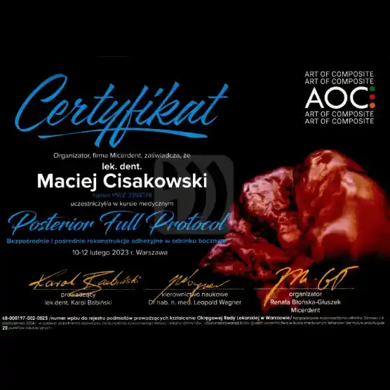 Maciej Cisakowski - Posterior Full Protocol